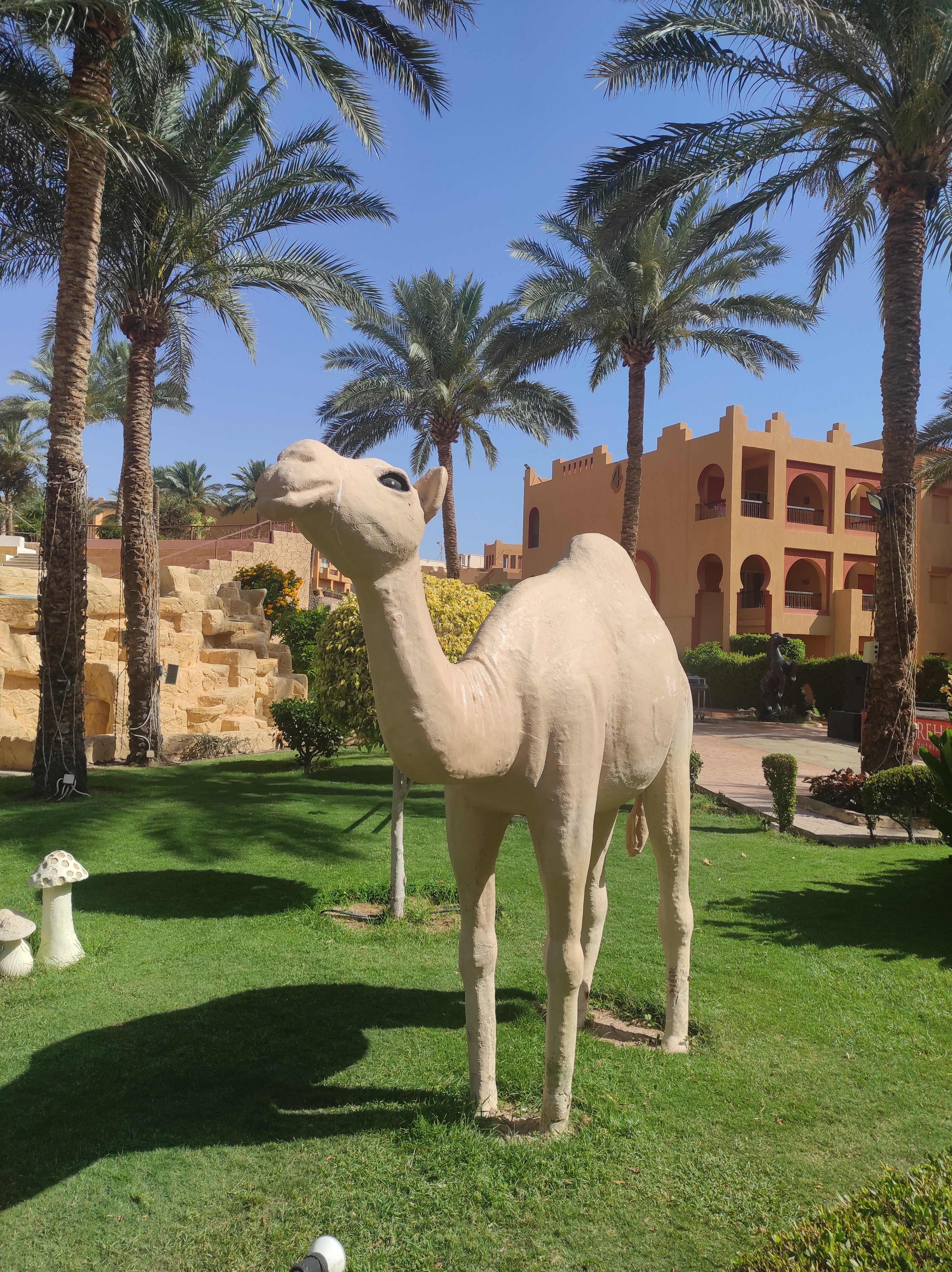 Фото Rehana Royal Beach Resort - Aquapark & SPA