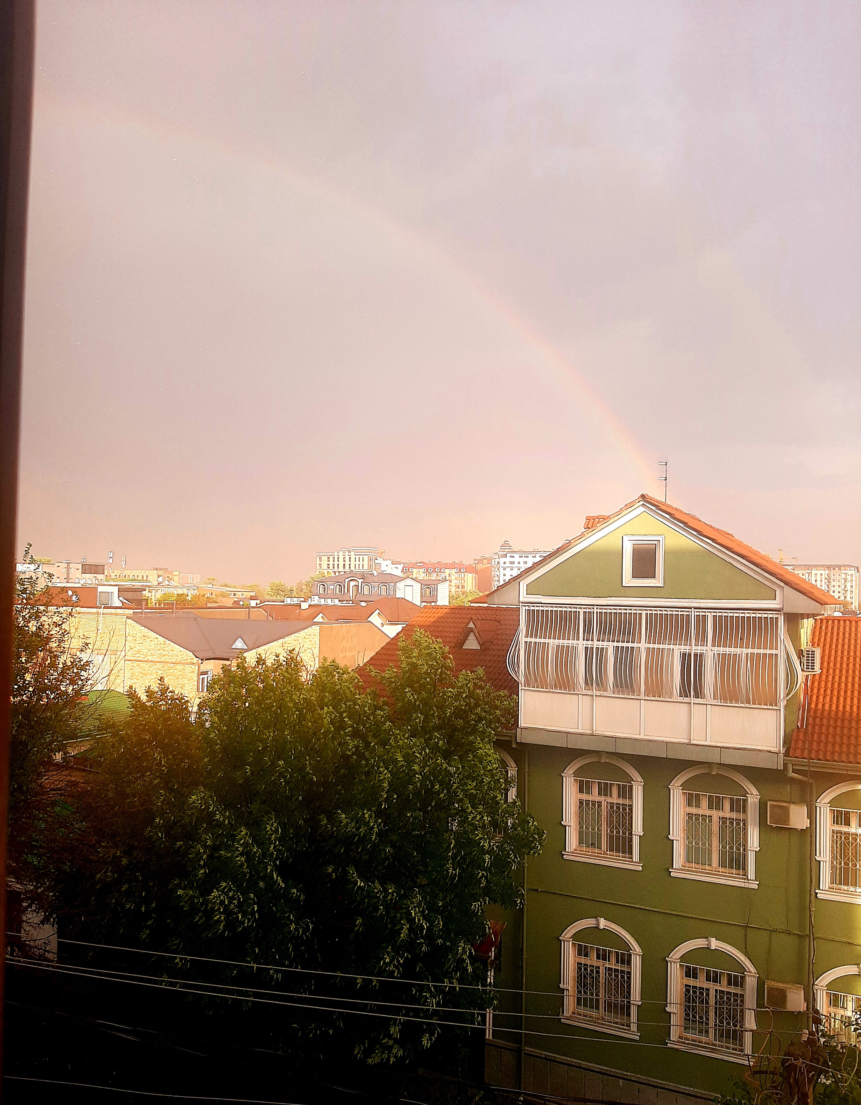 Фото Summer Hotel