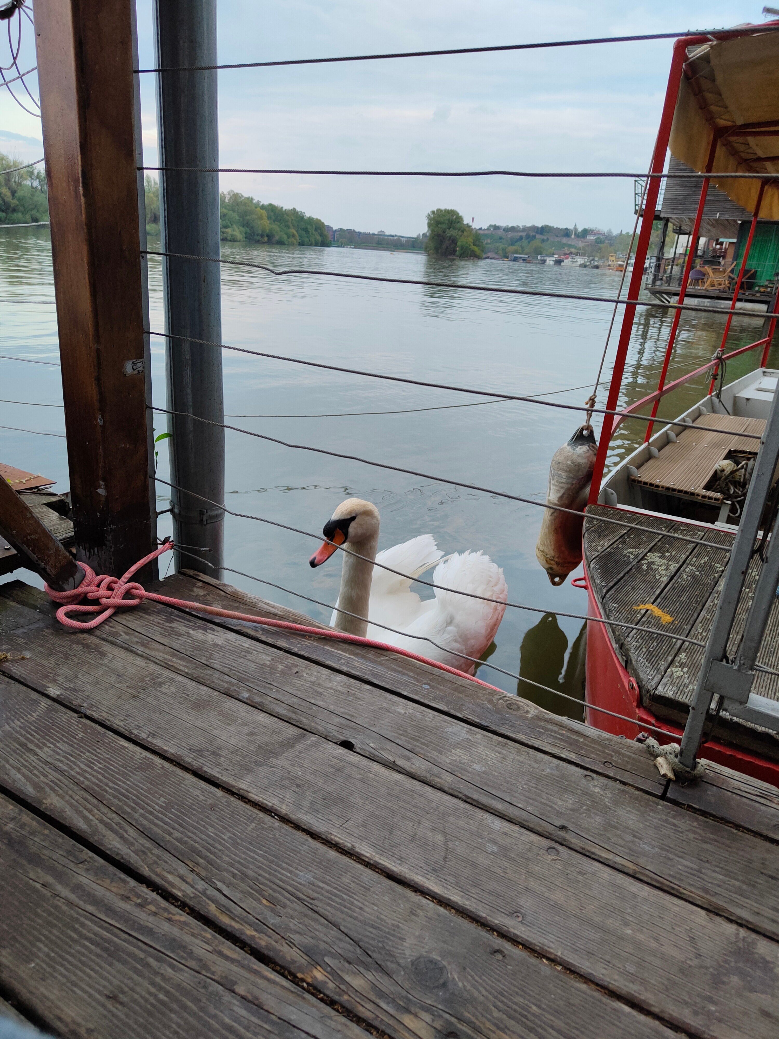 Фото ArkaBarka Floating Hostel