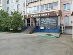 Рыбная лавка (ulitsa Kalinina, 14) ، متجر بيع البيرة