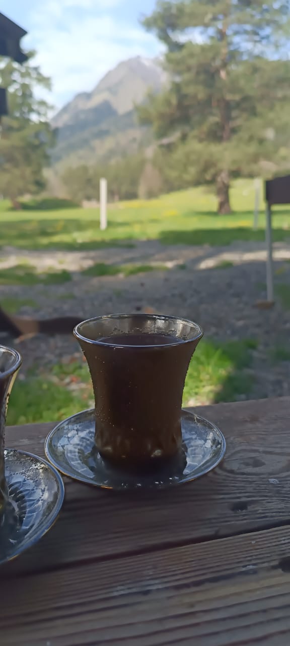 Фото Лесной кот