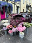 Whynot? (Tryokhprudny Lane, 11/13с2), flower shop