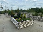 Вербное настроение (Nizhniy Novgorod Region, gorodskoy okrug Bor, Kantaurovskiy territorialny otdel), plant nursery