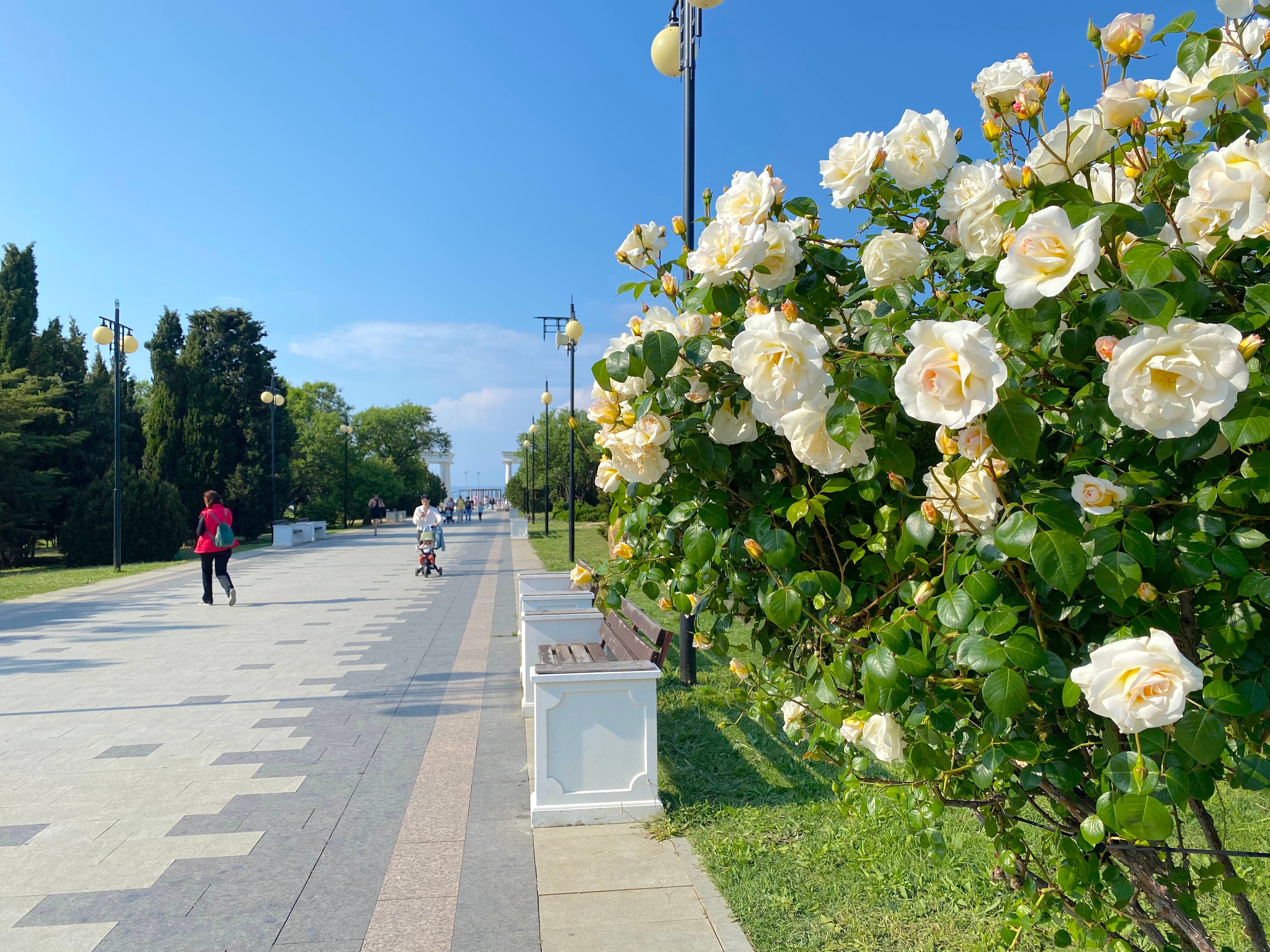 Фото Акваделюкс Resort Apartments