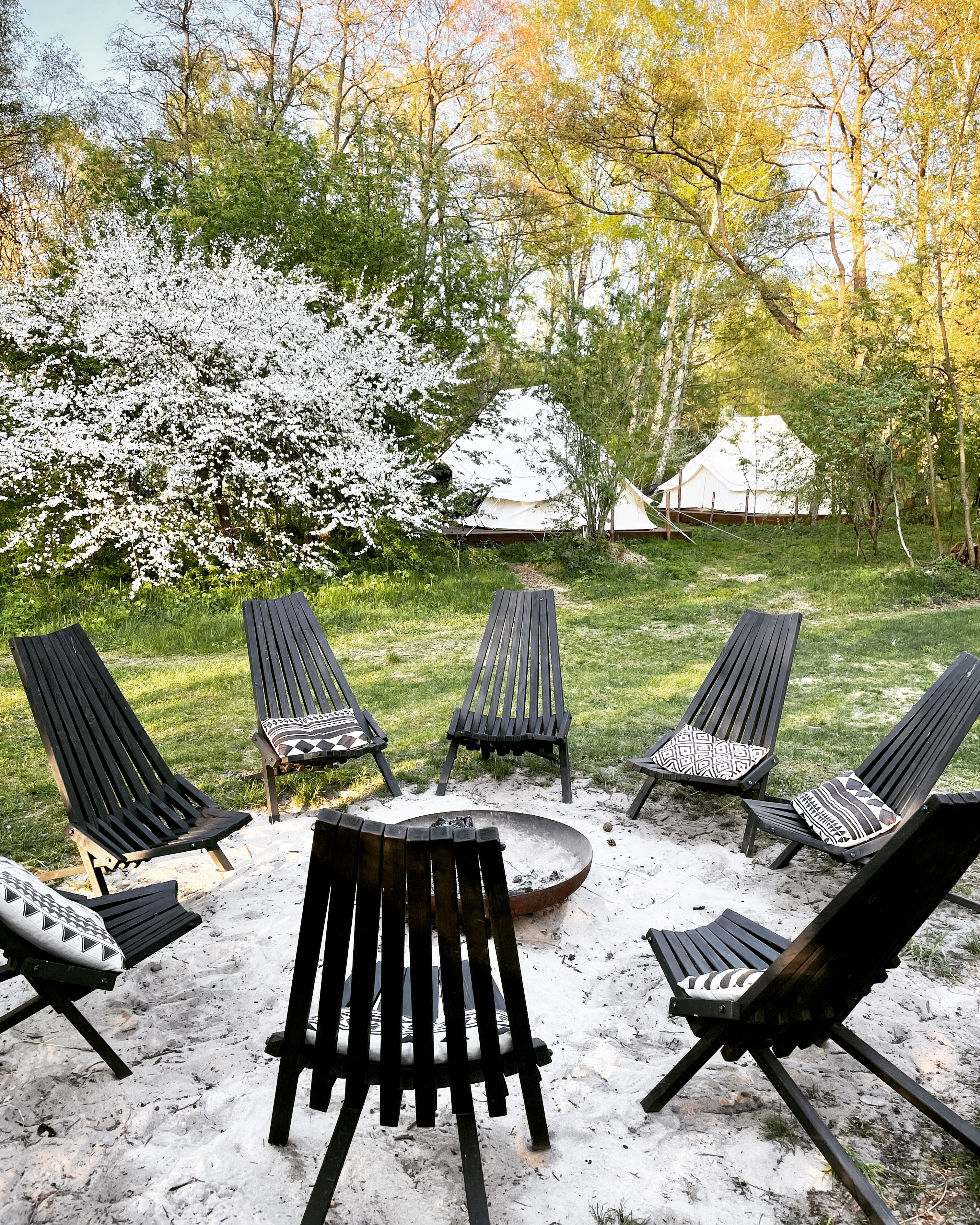 Фото Polyana Glamping