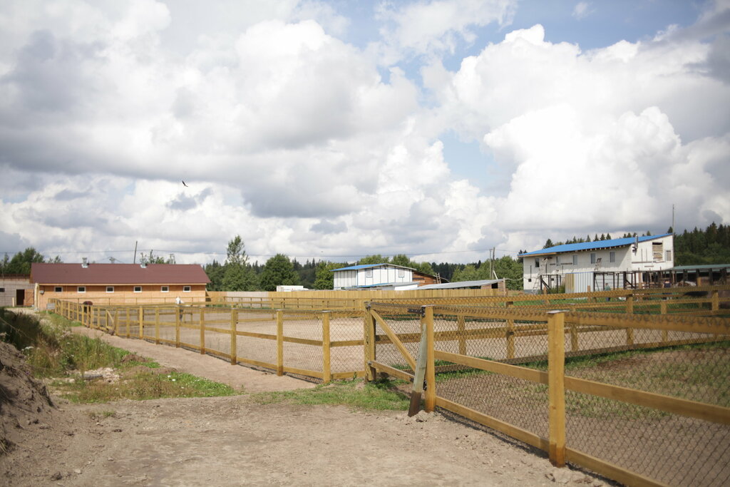 КСК кавалерия СПБ