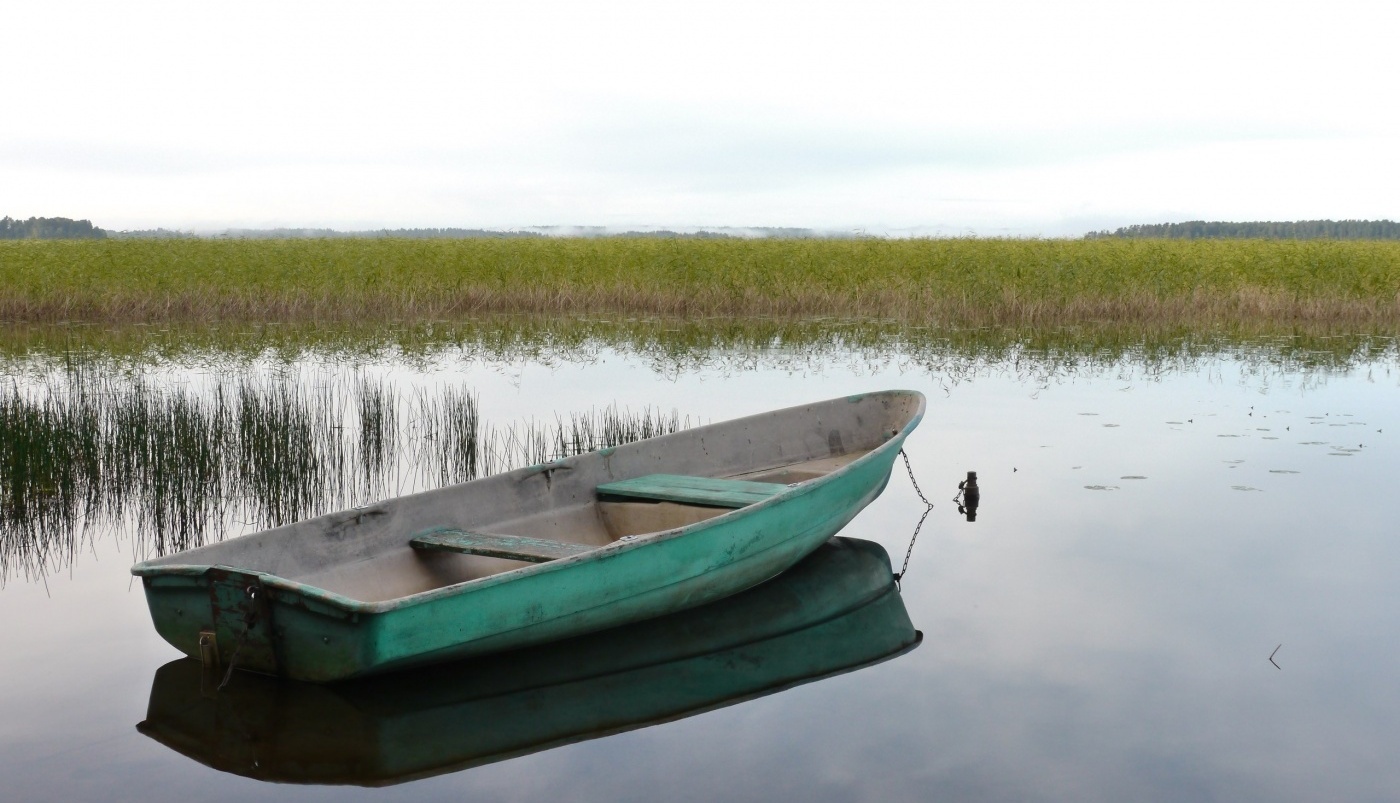Фото Розовая дача