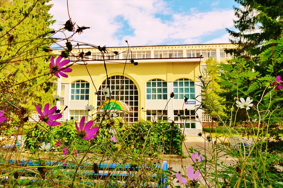 Фото Зеленая роща