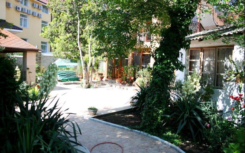 Фото Орхидея