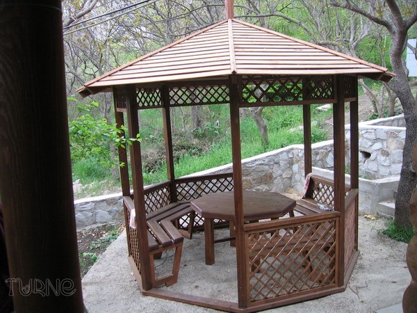 Фото Артемида