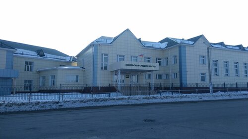 Общеобразовательная школа Хохольская школа, Воронежская область, фото