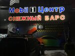 Фото 1 Mobil 1 центр Снежный Барс