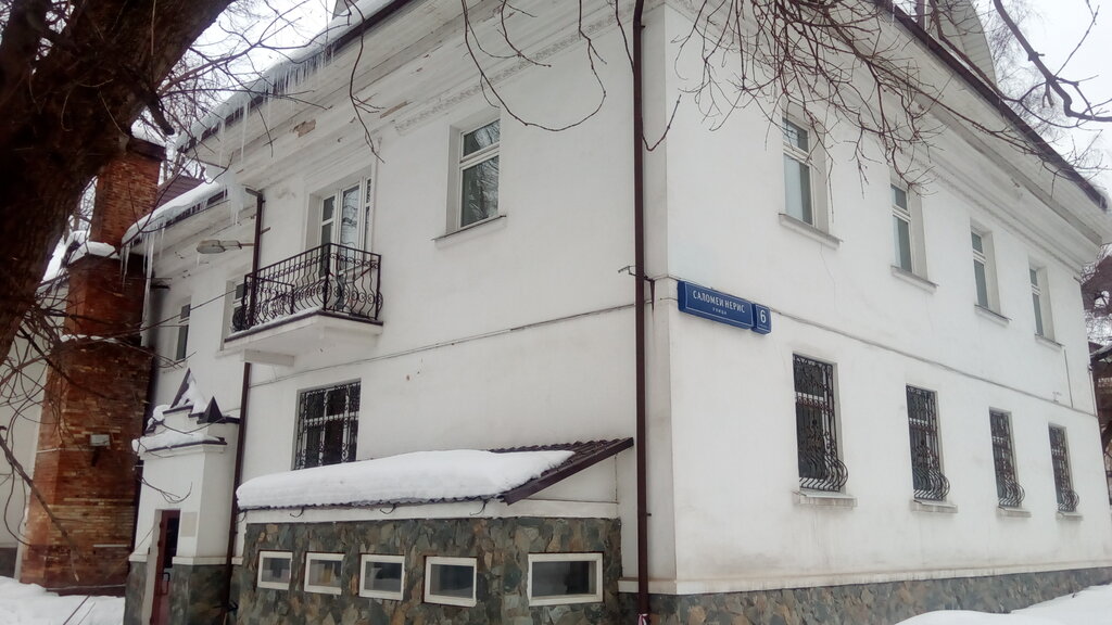 Саломеи Нерис 6с2