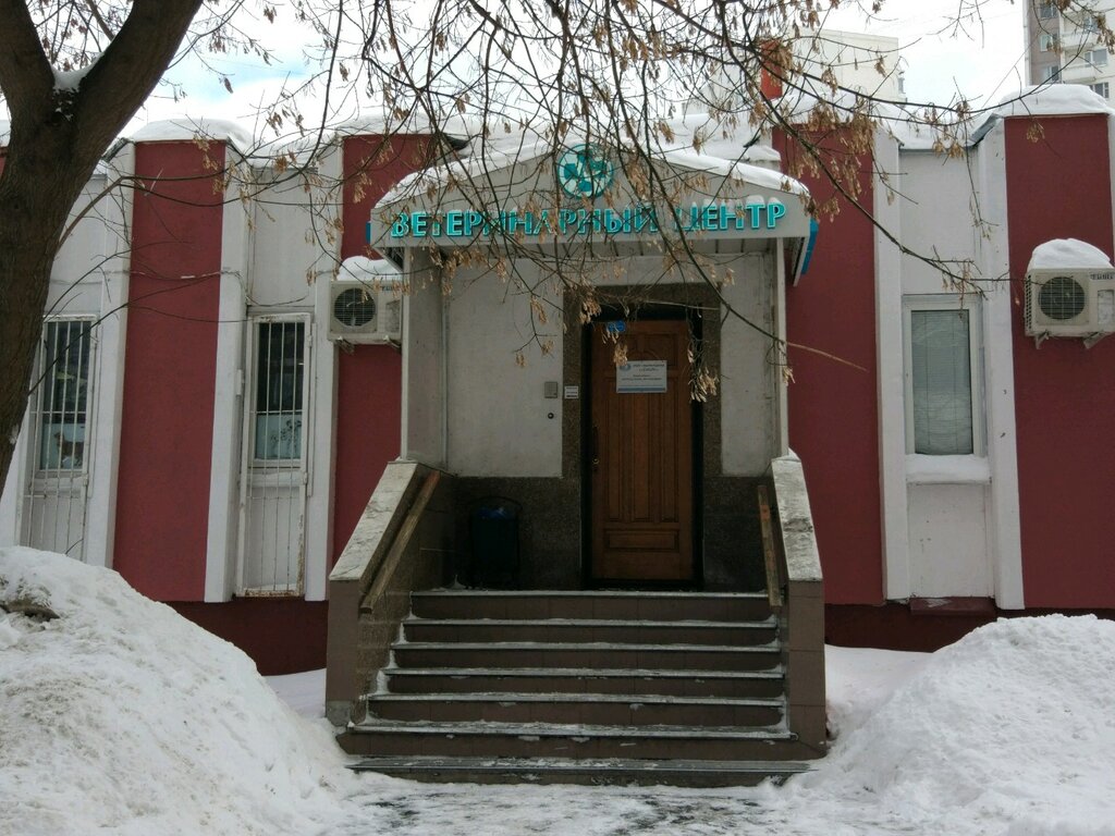Ветеринарная клиника Лебеди, Москва, фото
