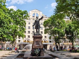 Petrovsky Square (gorodskoy okrug Voronezh, Tsentralniy District, Petrovsky Square), square