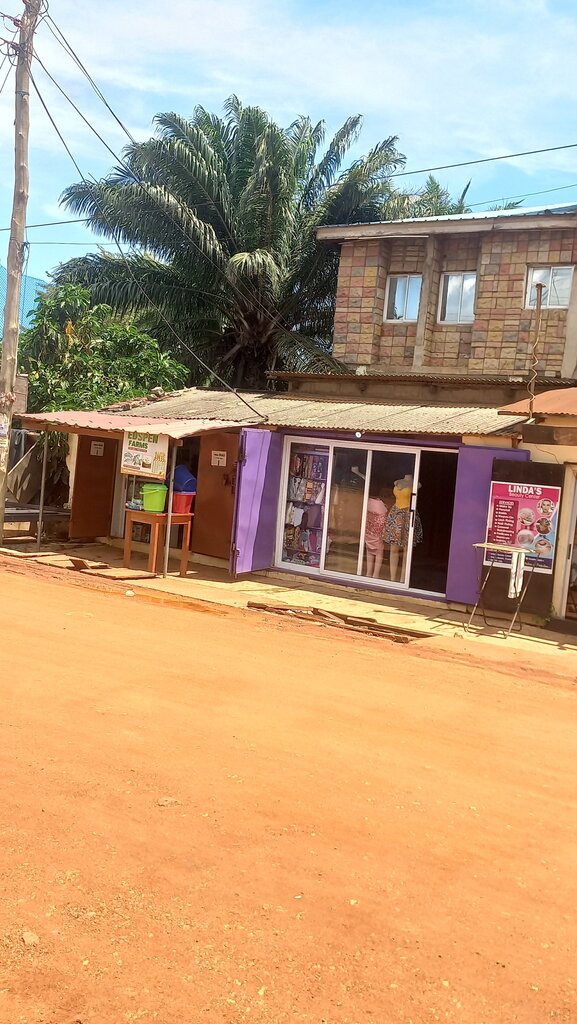 Egg and poultry meat Edspen Farms, Accra, photo