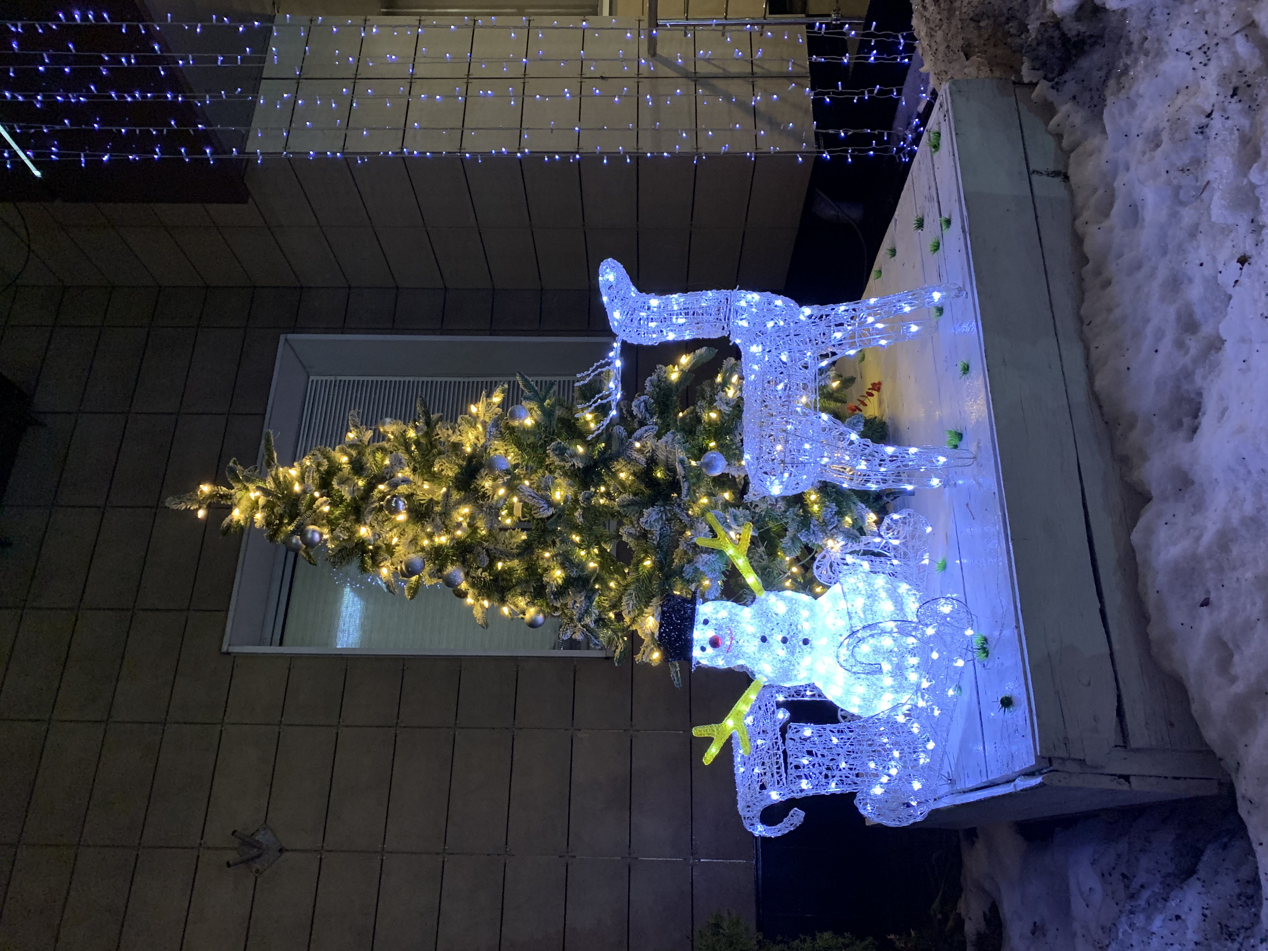 Фото Отель Бега