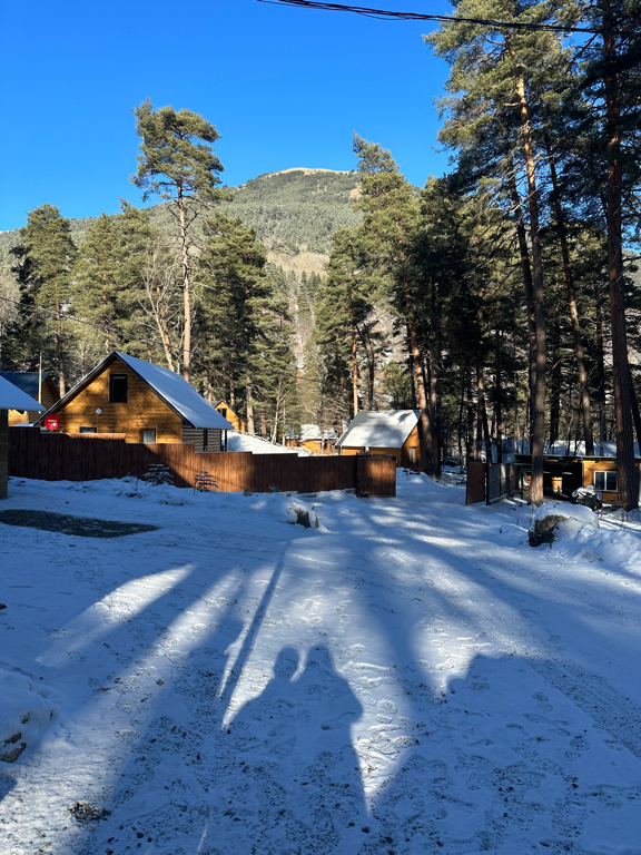 Фото Три Медведя