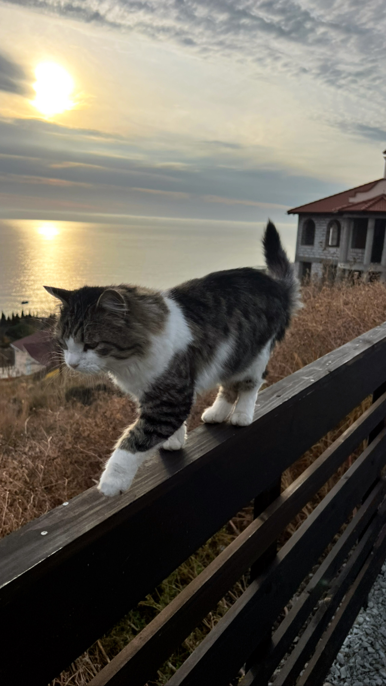 Фото Вилла Монте Виера