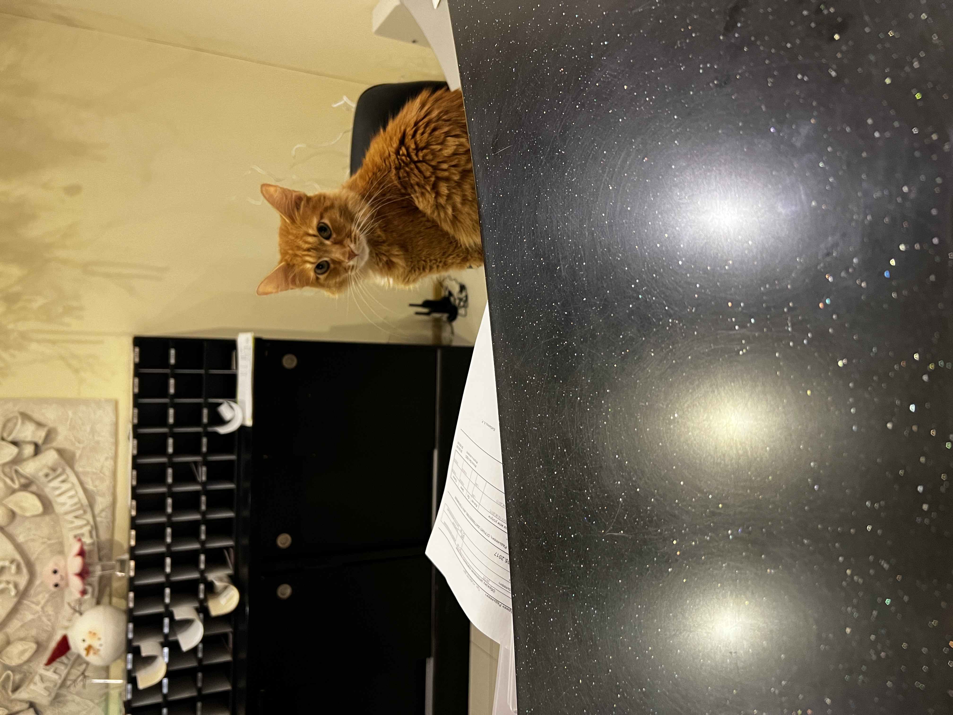 Фото Князь Владимир