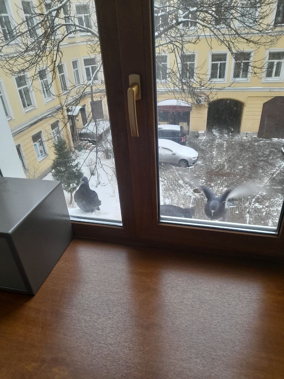 Фото Александрия