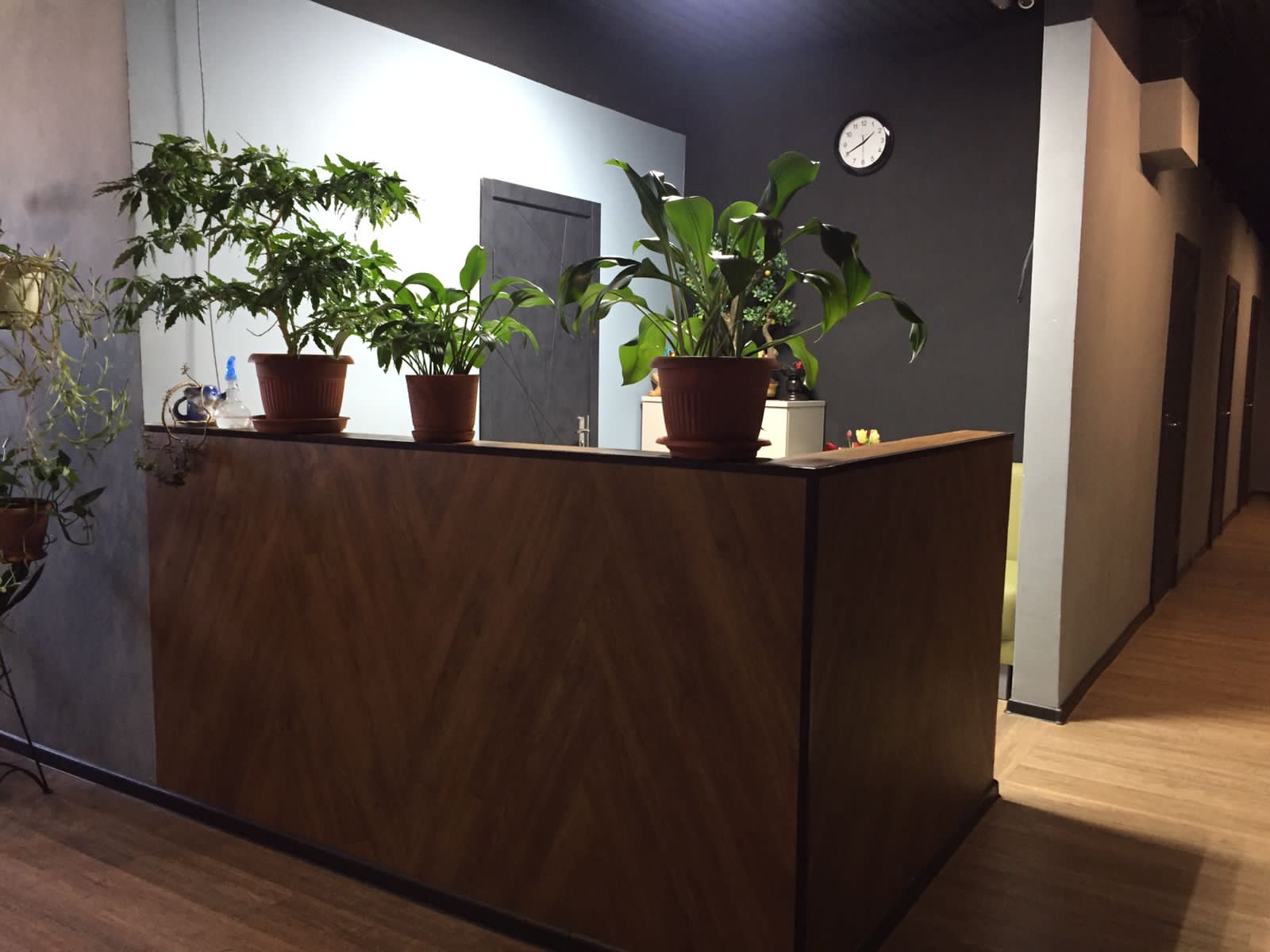 Фото Полярник