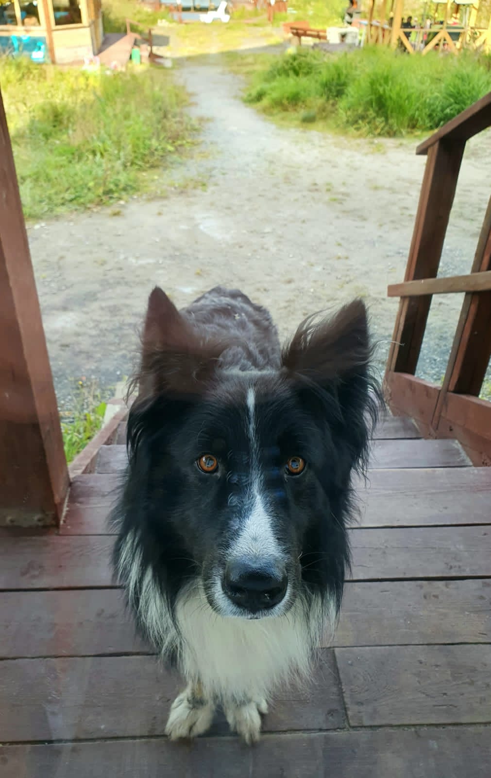 Фото Villa Natella