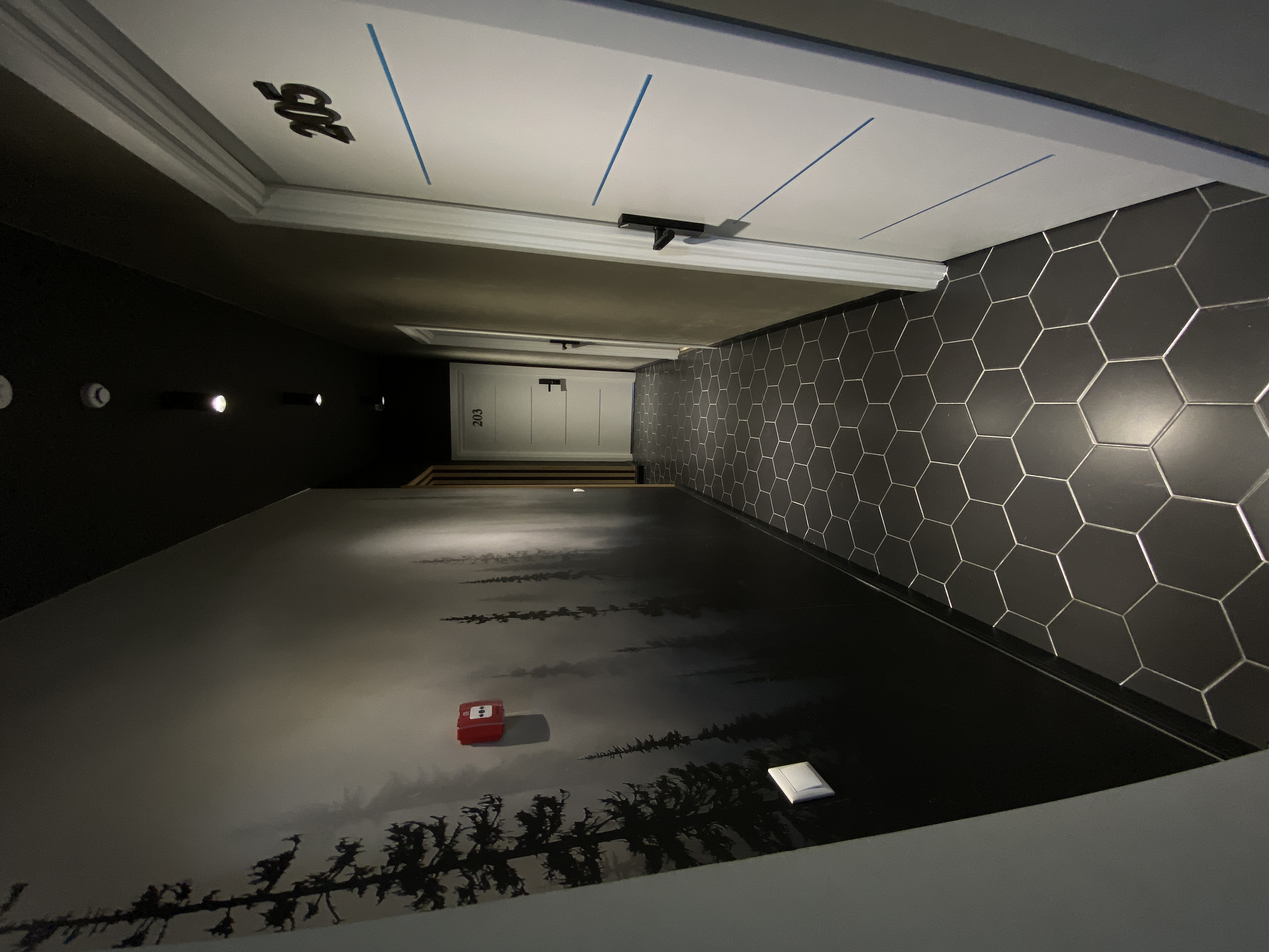 Фото Онегин