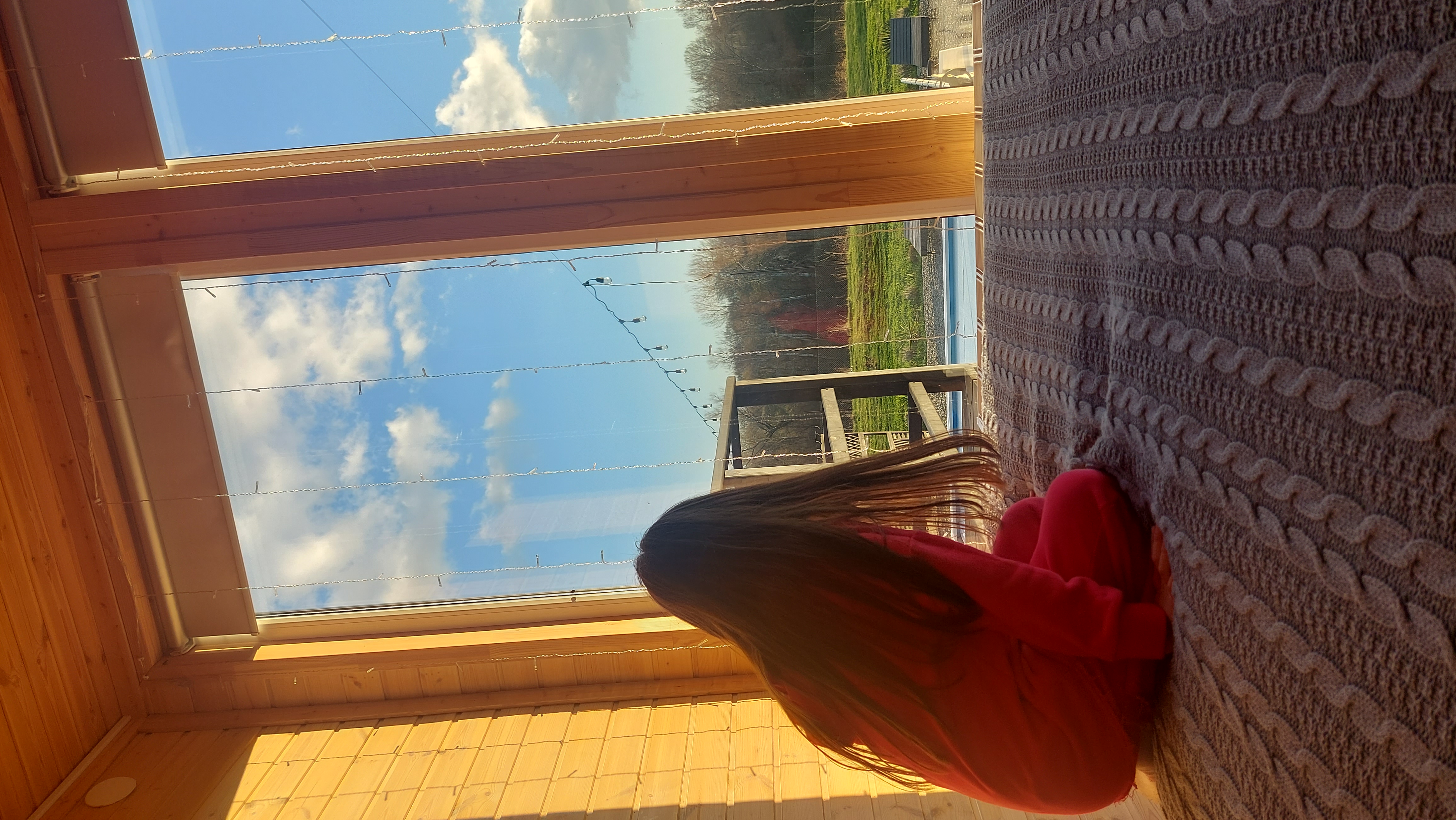 Фото Павлония