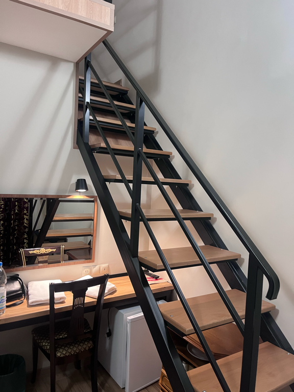 Фото Фламинго