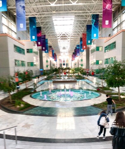 Жәй ғана жалаған порно