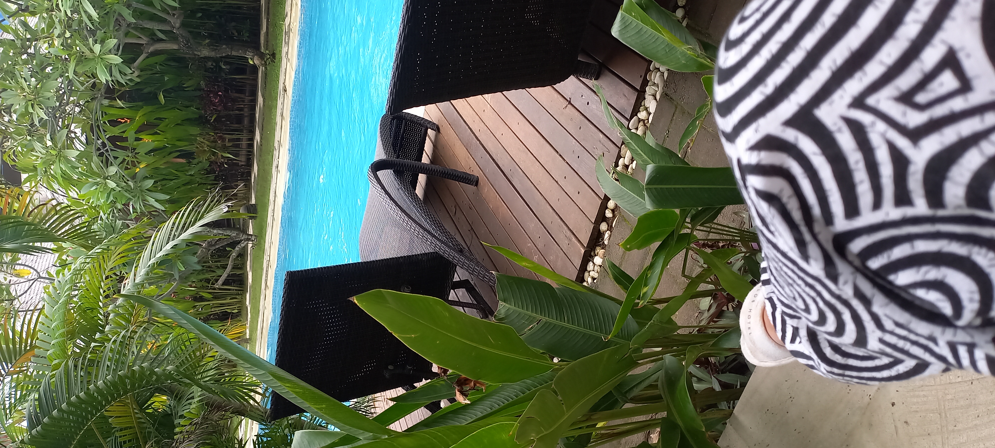 Фото Easy Surf Camp