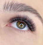 A-lashes (Zheleznodorozhny Microdistrict, Novaya ulitsa, 49) ، شريط حاجب العين