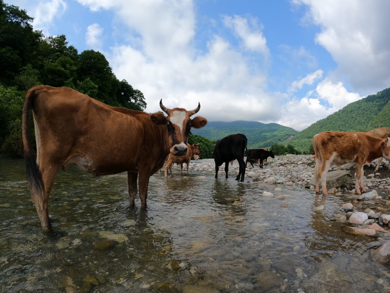 Фото Страна Души