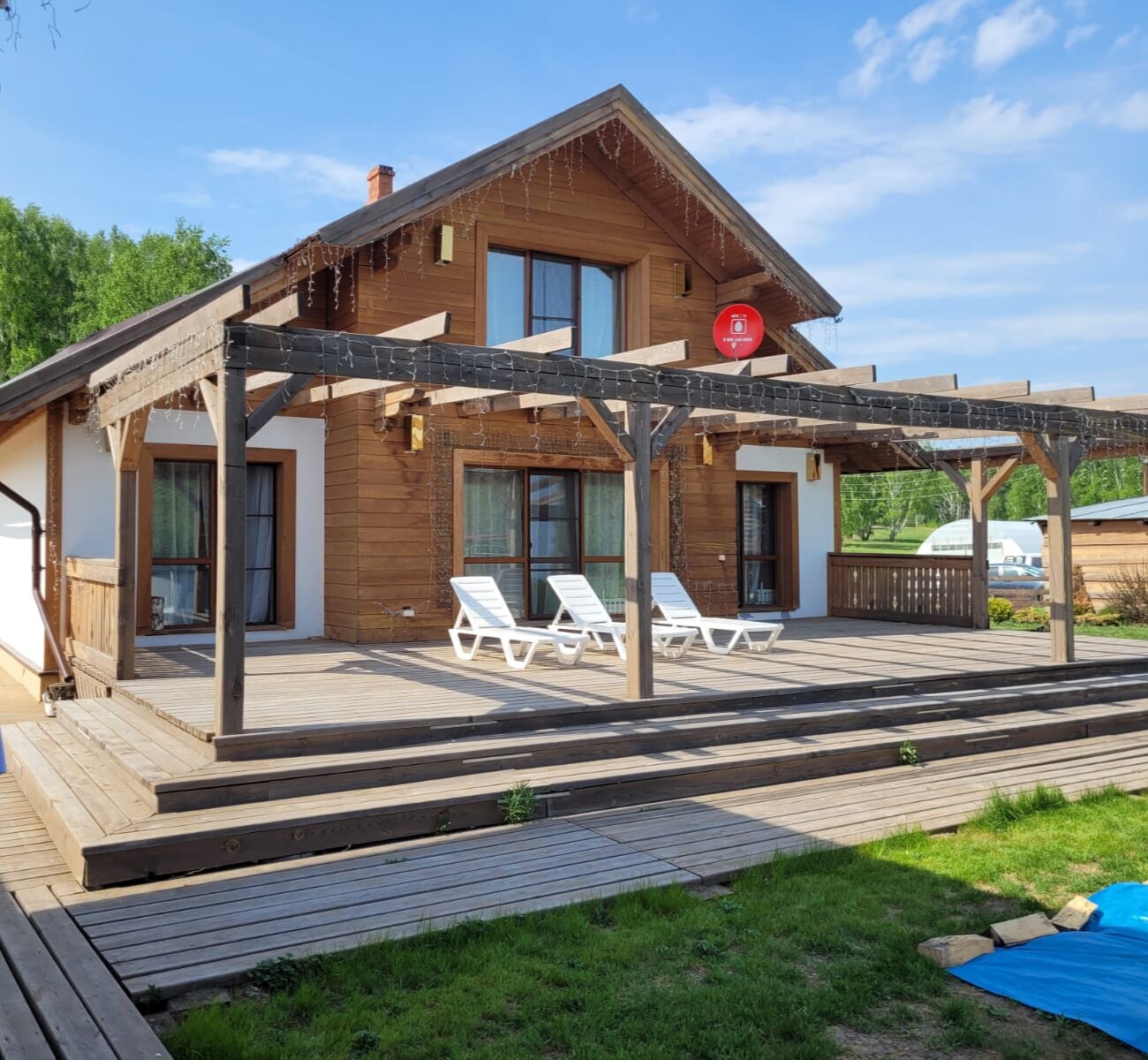 Фото Земляничная поляна