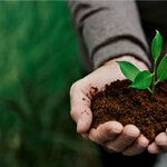 Emirates Rawabi (18, 26B Street, Ras Al Khor Industrial 1, Ras Al Khor, Dubai), fertilizers