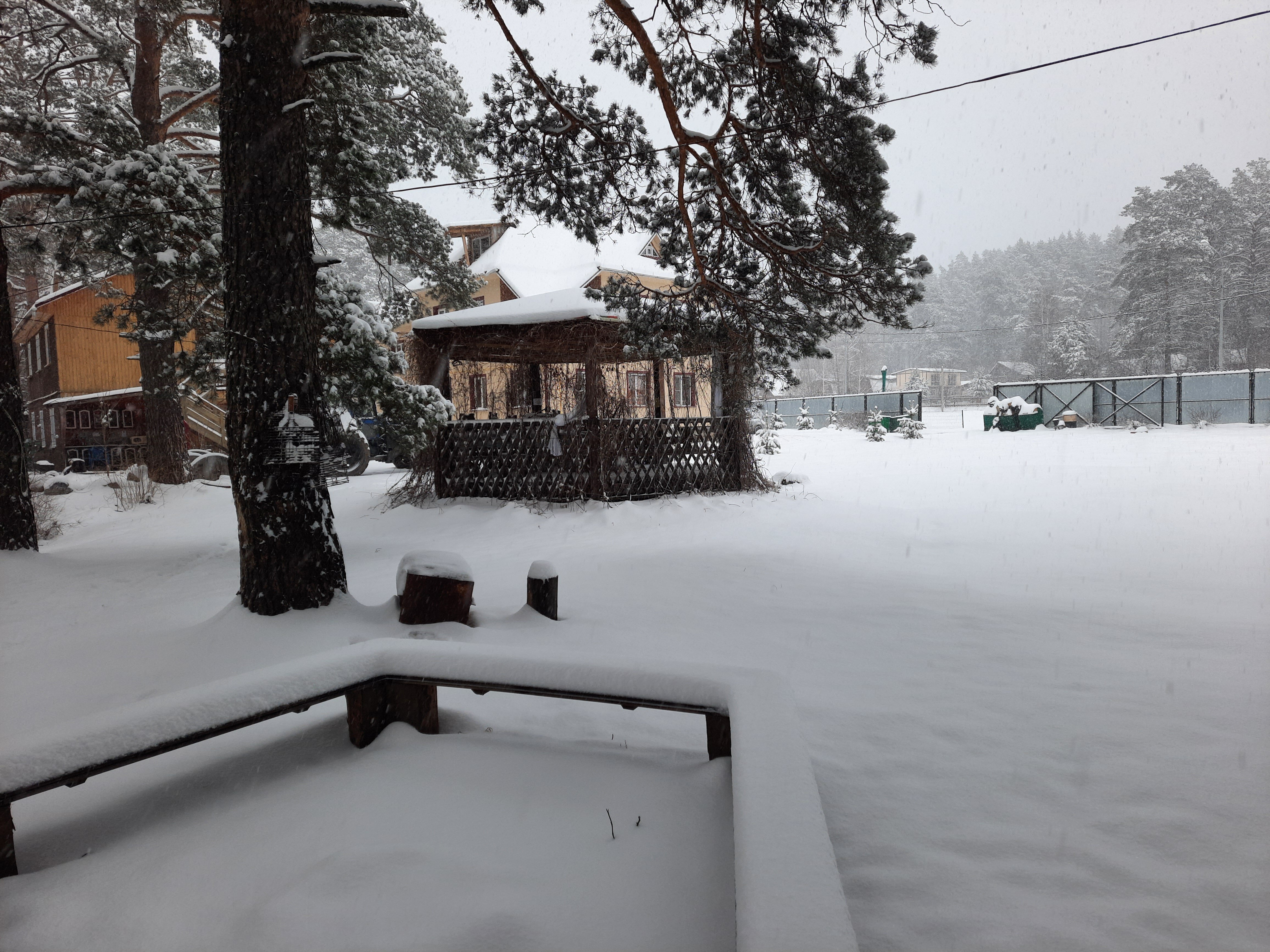 Фото На Алтае