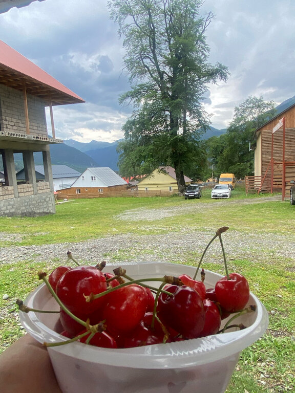 Фото Лесной ручей