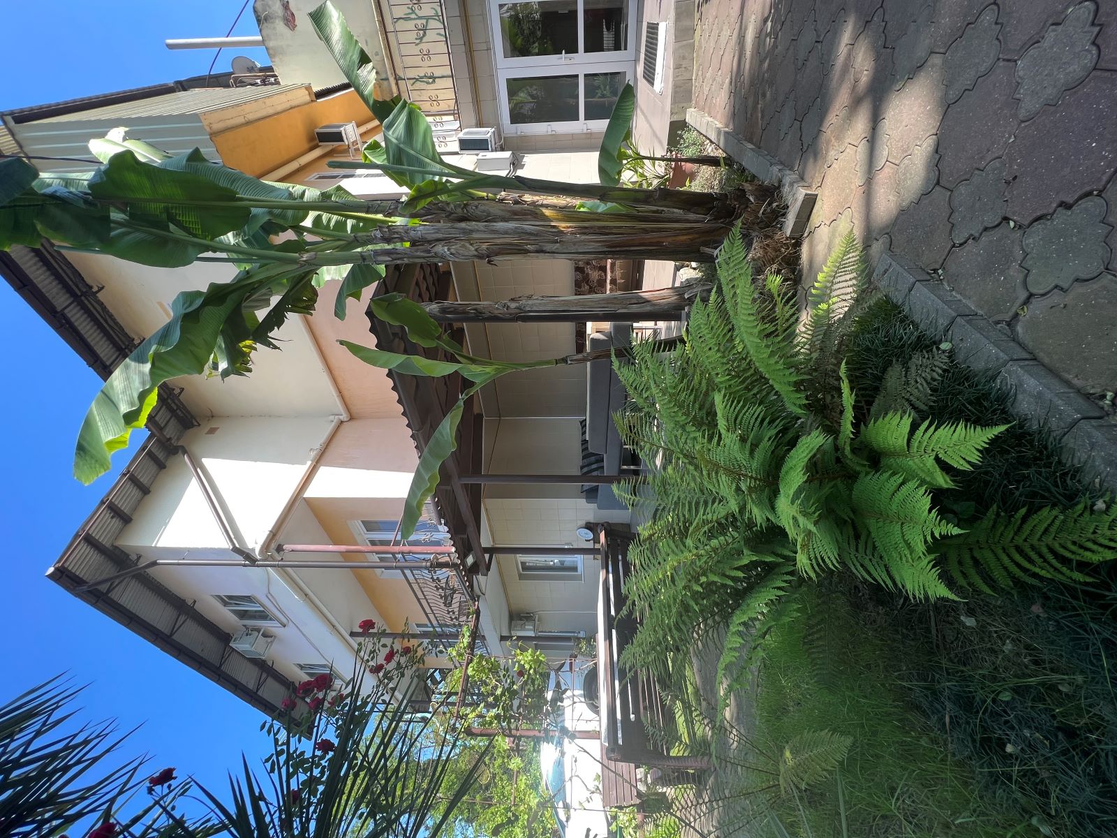 Фото Прибрежный