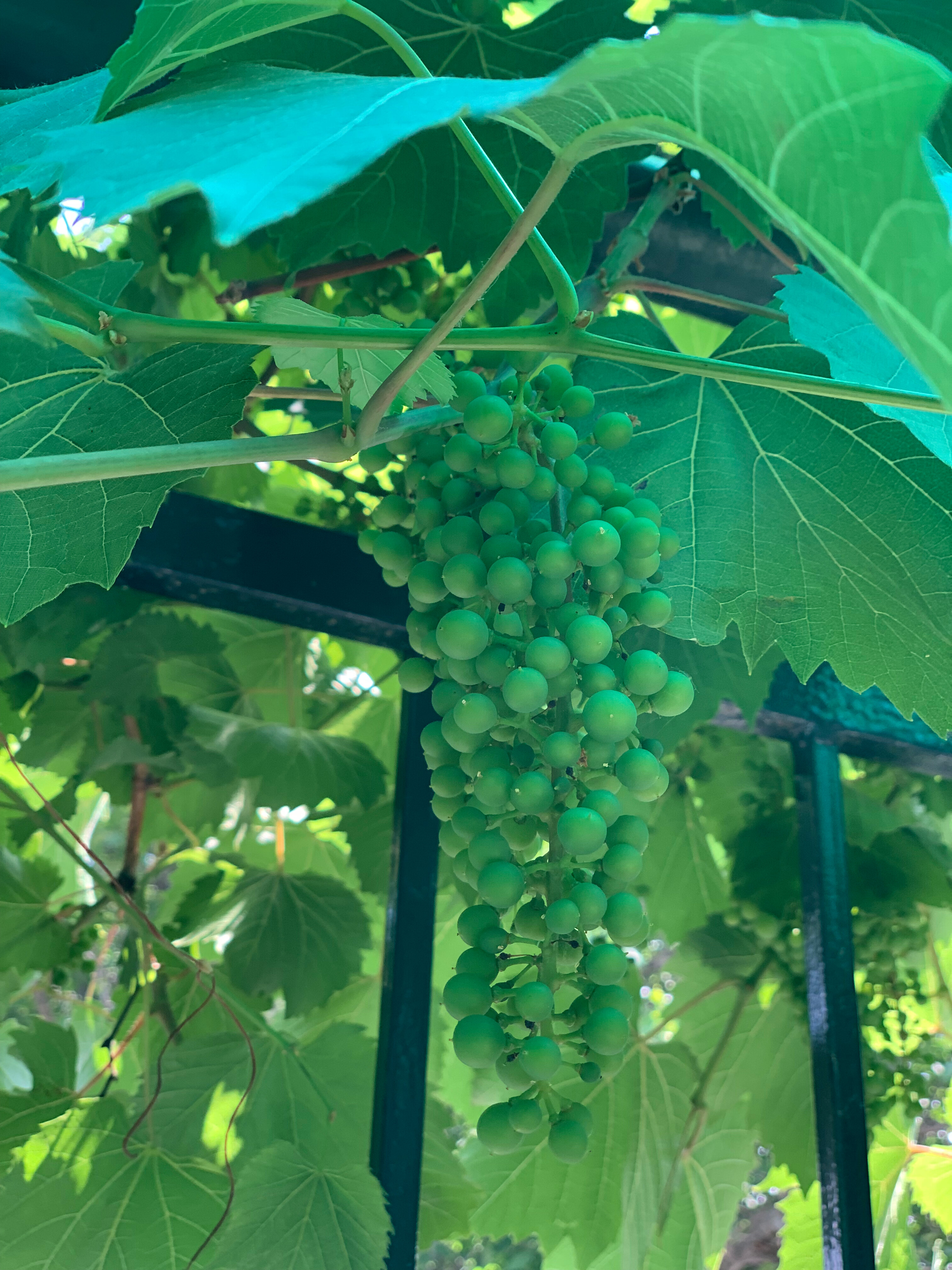 Фото Merci.дом