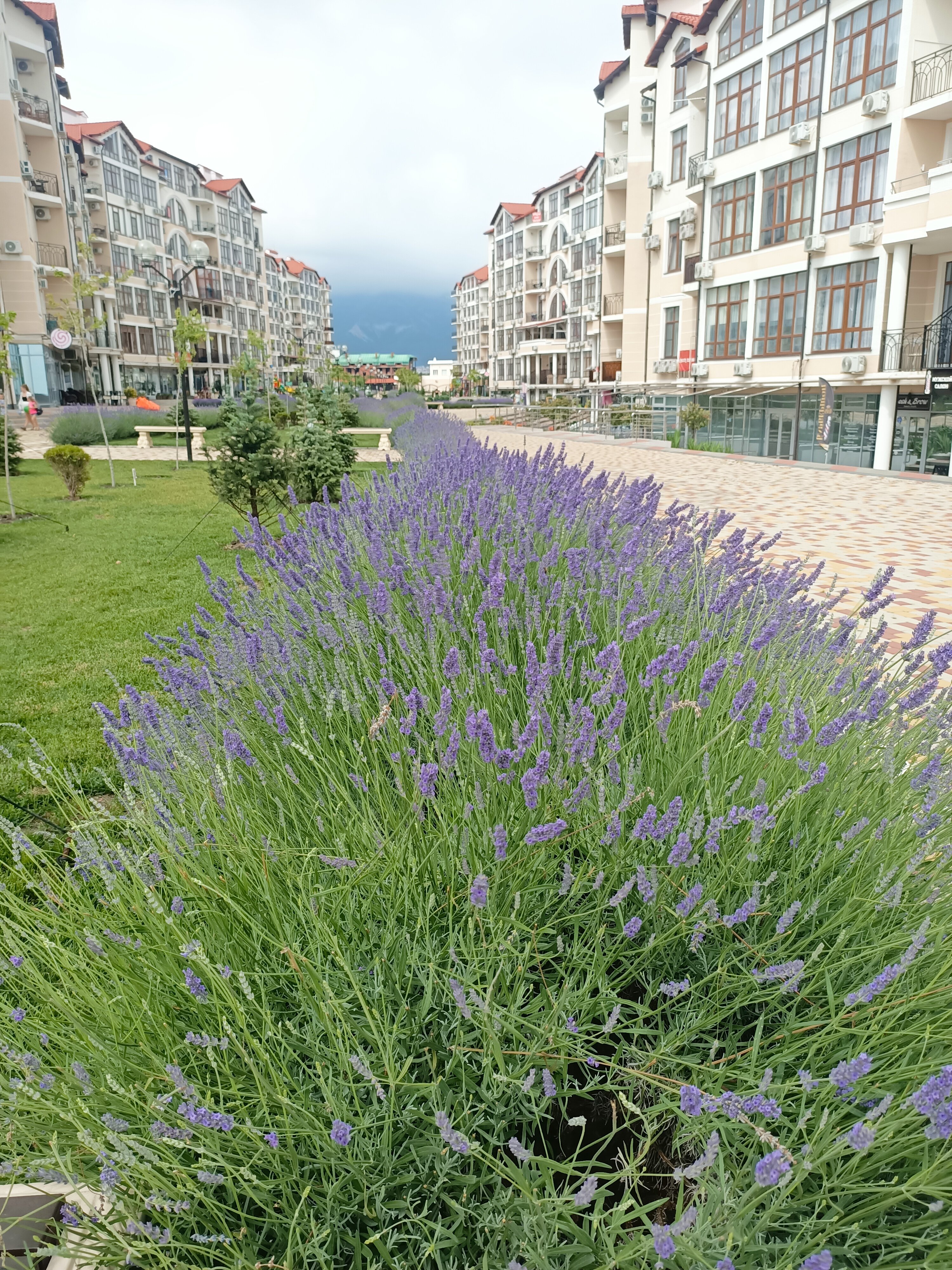 Фото Южная Дача