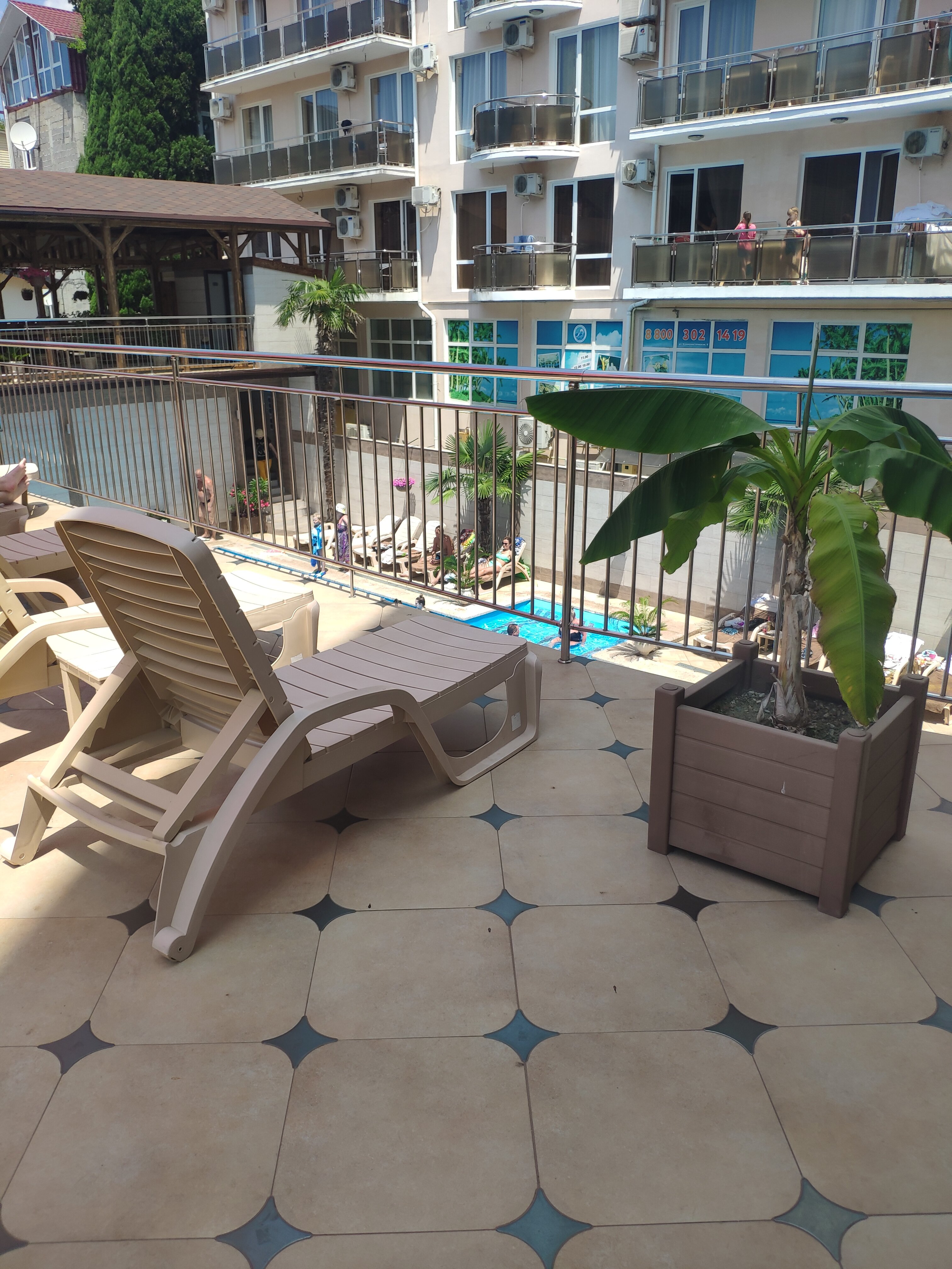 Фото Кардинал