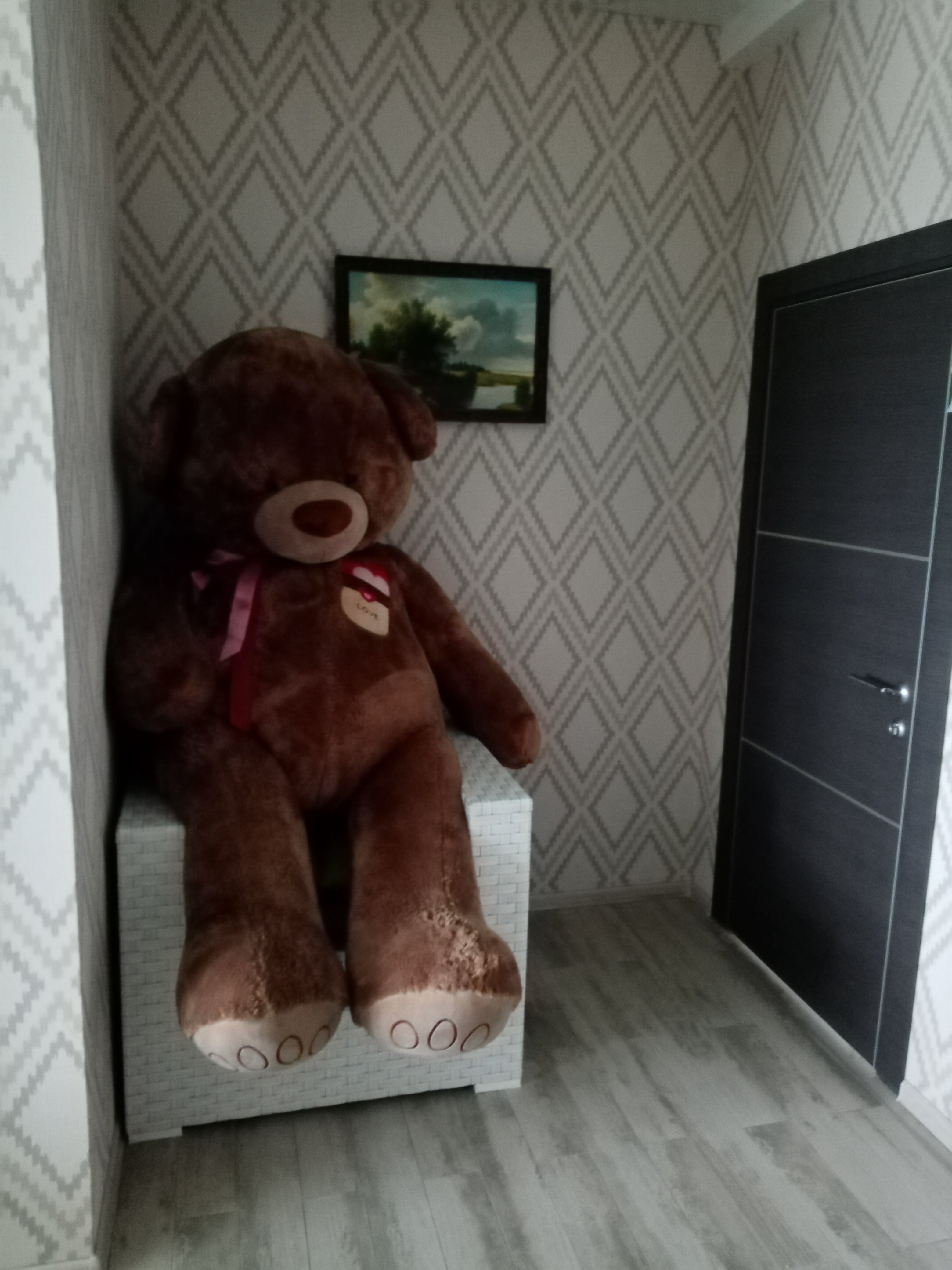 Фото Белые ивы