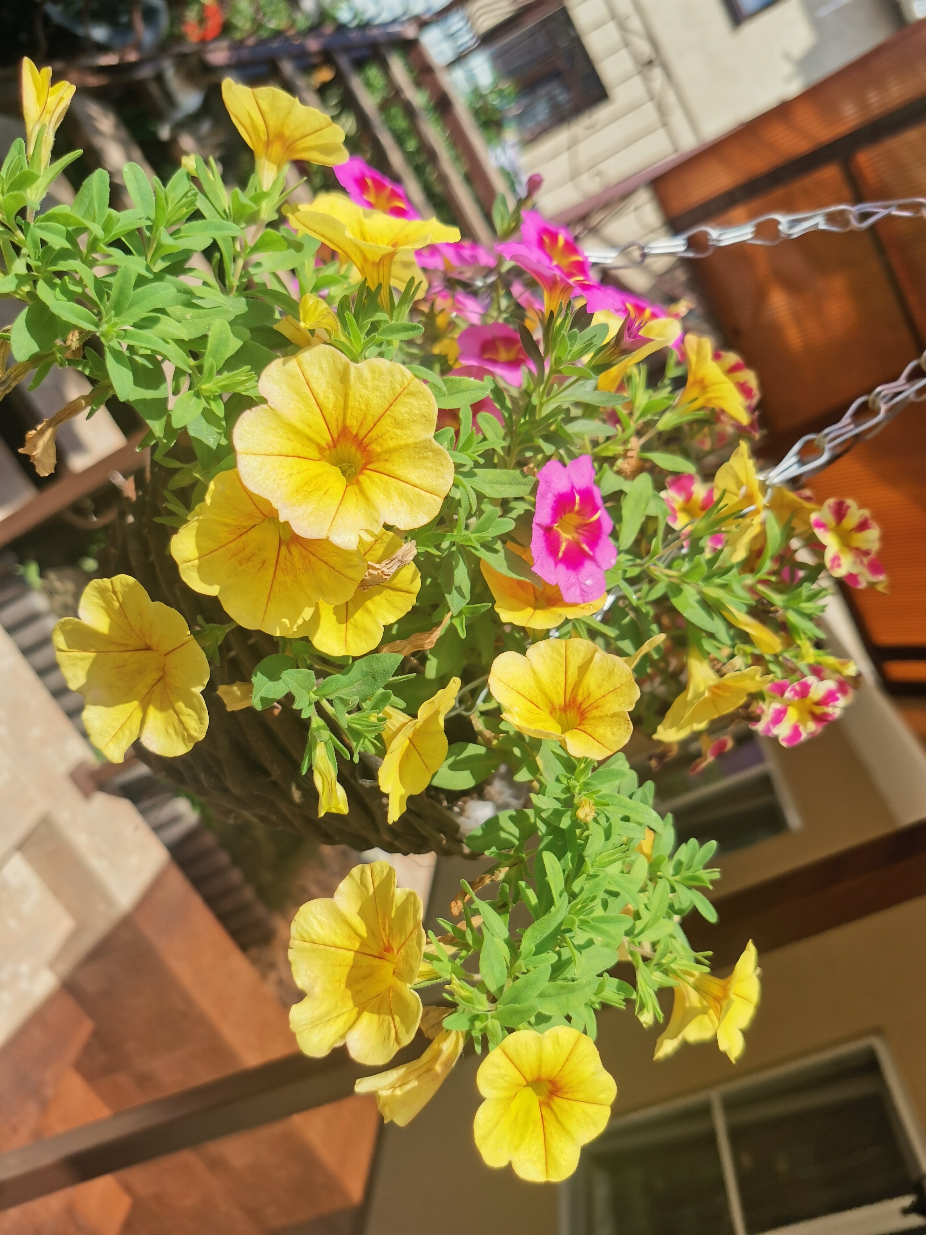 Фото Гостевой дом Лето