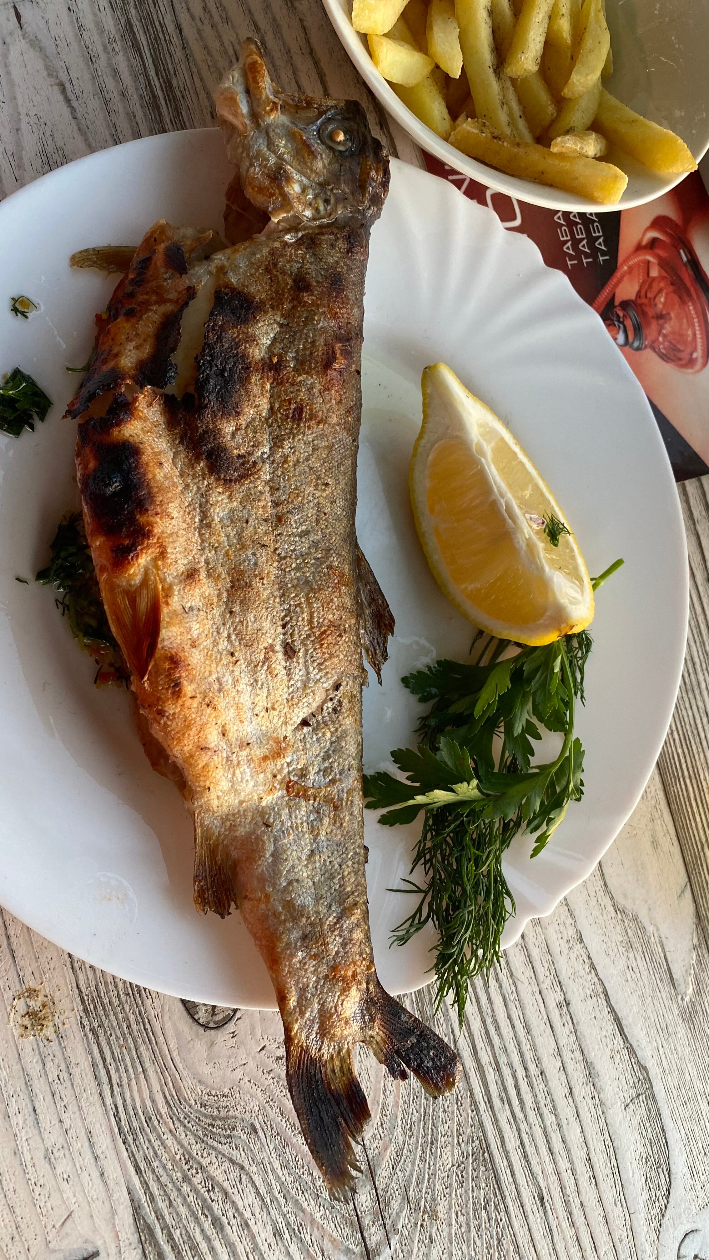 Фото Спутник