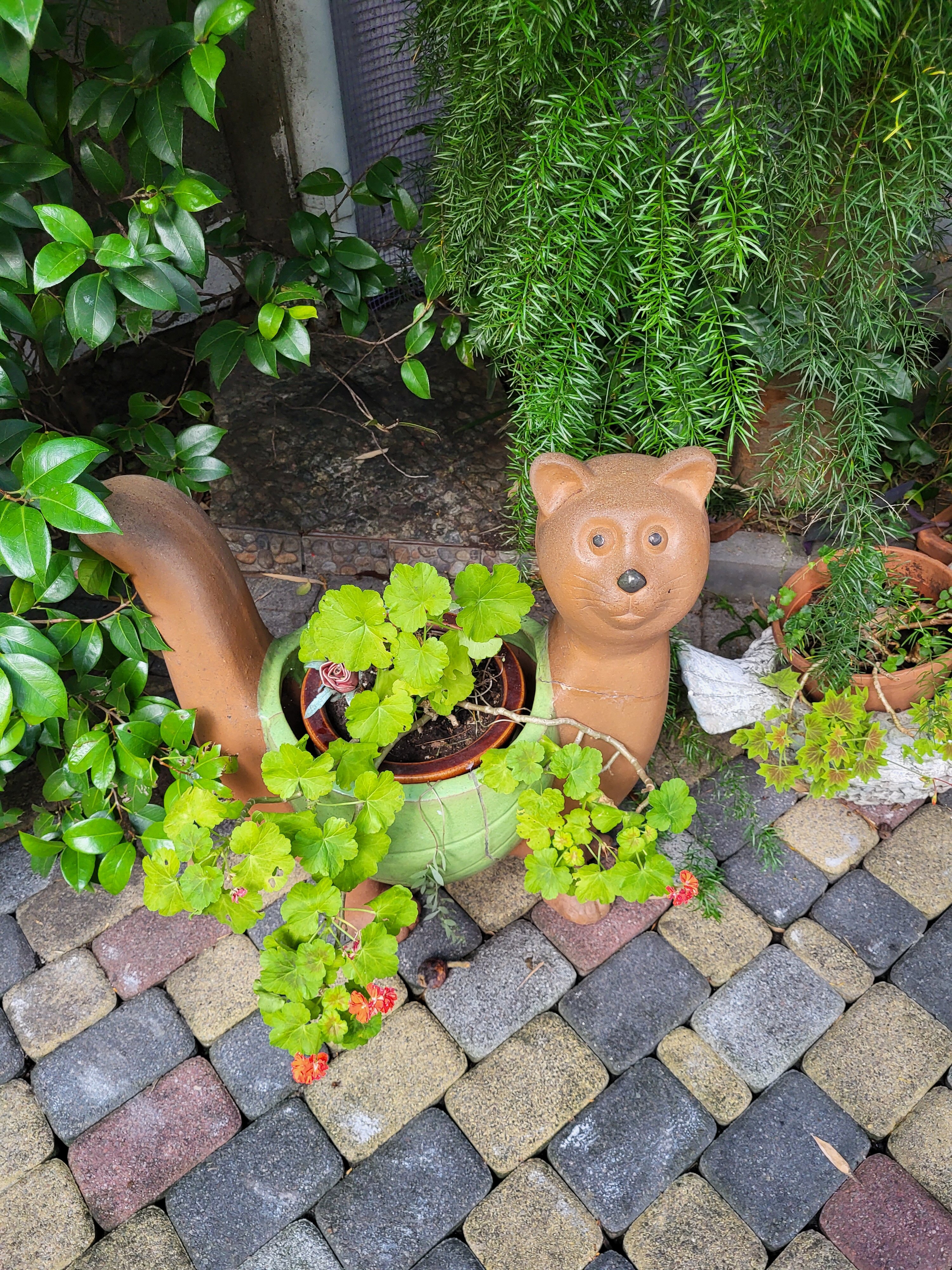 Фото Милана