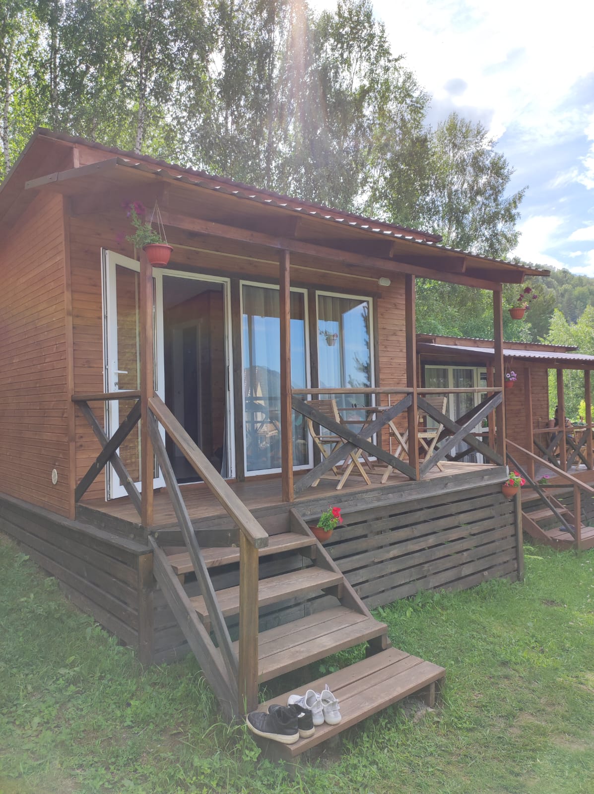 Фото Шишкин лес