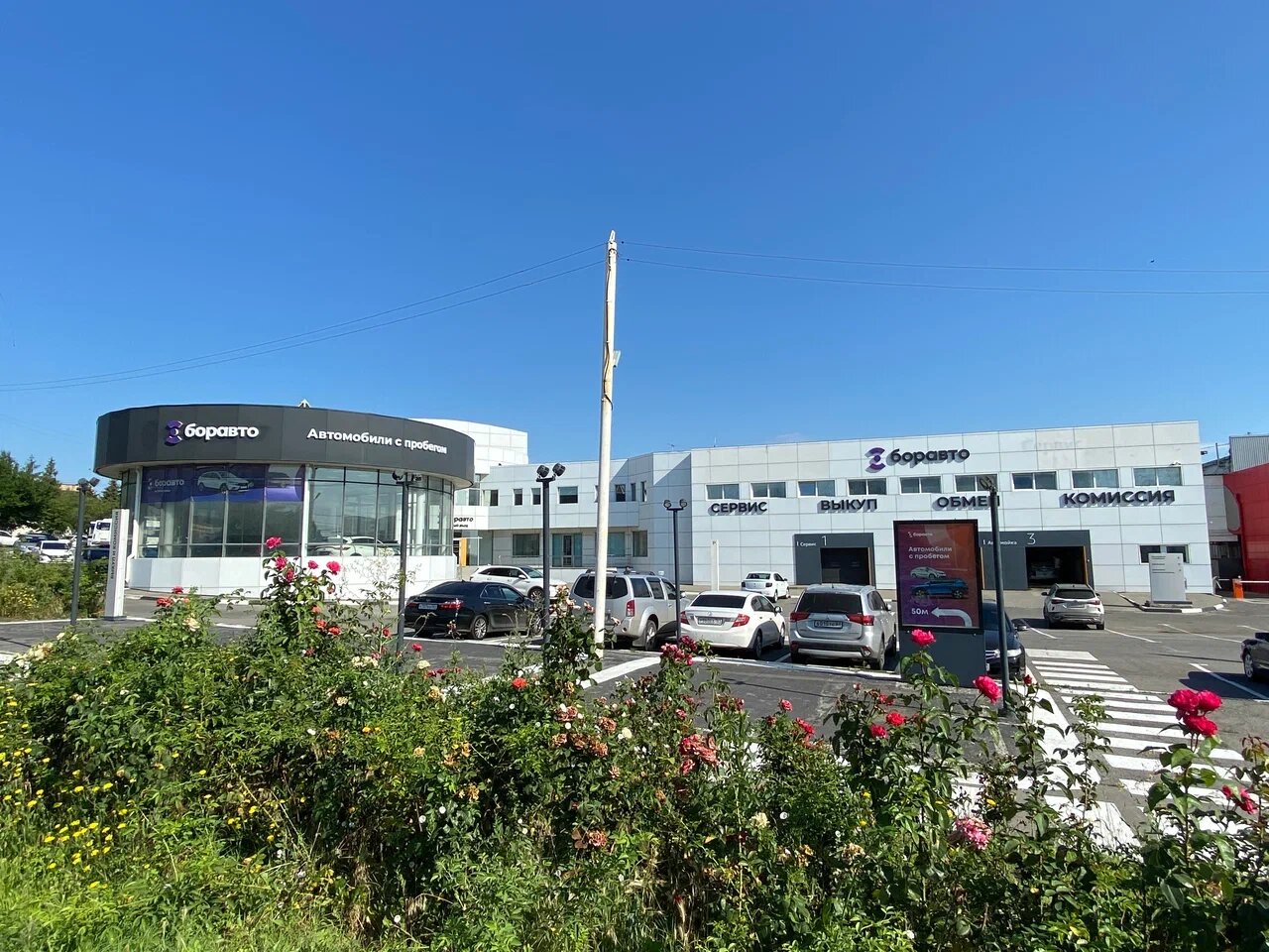 photo Боравто