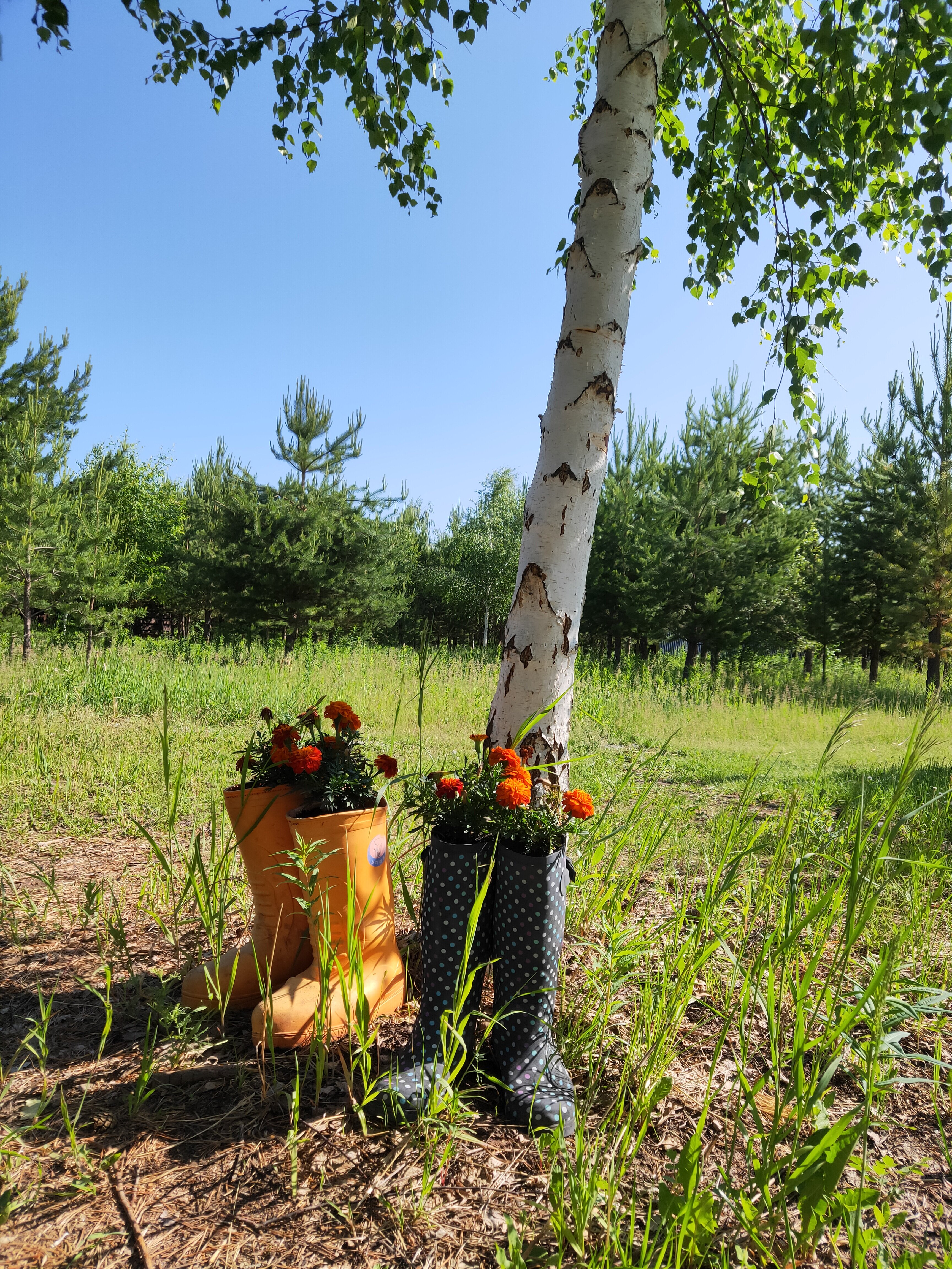 Фото Хэллоферма