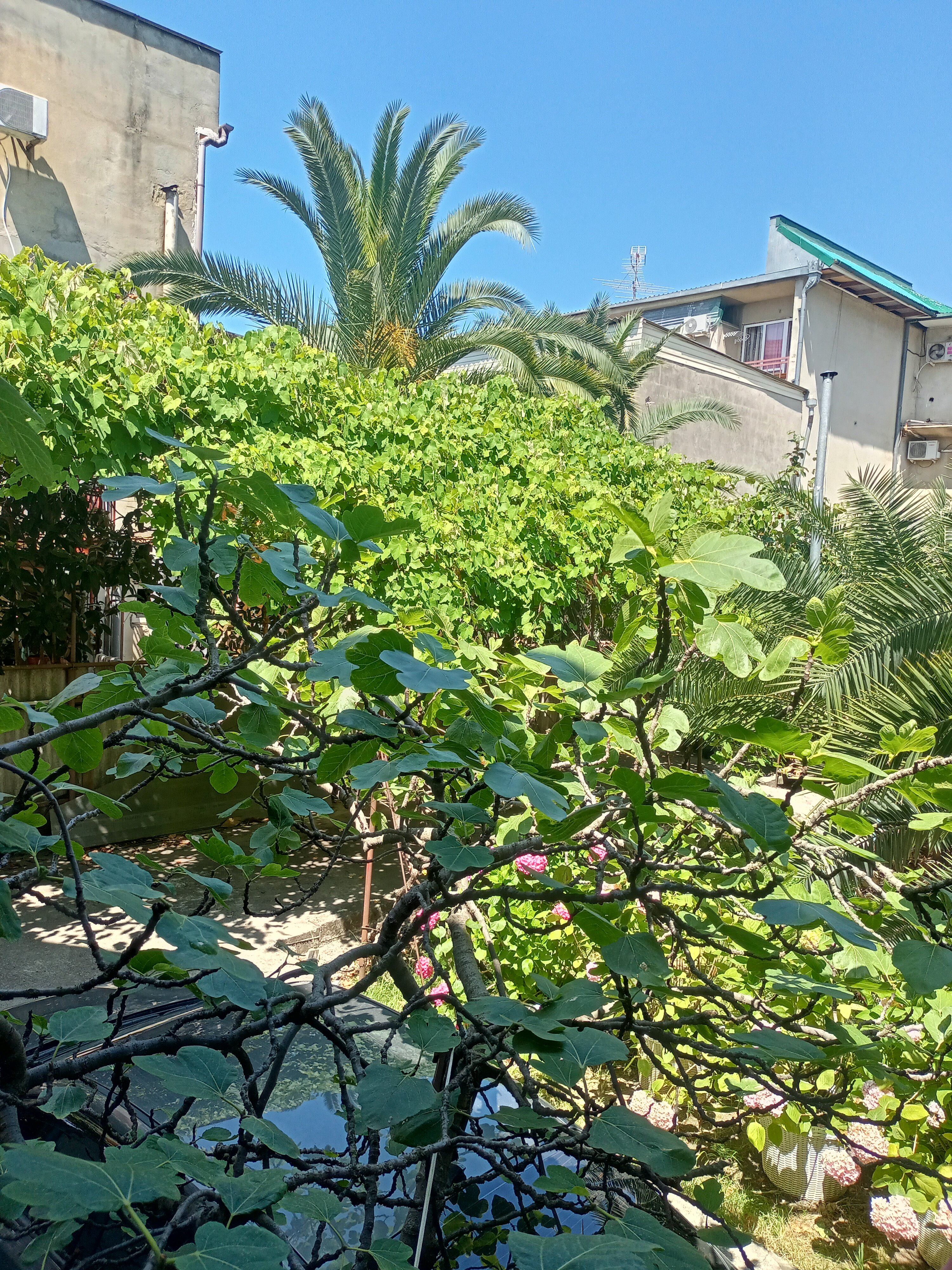 Фото Гостевой дом Фиеста